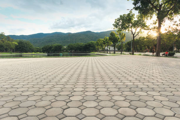 Best Residential Paver Driveway  in Westover, WV